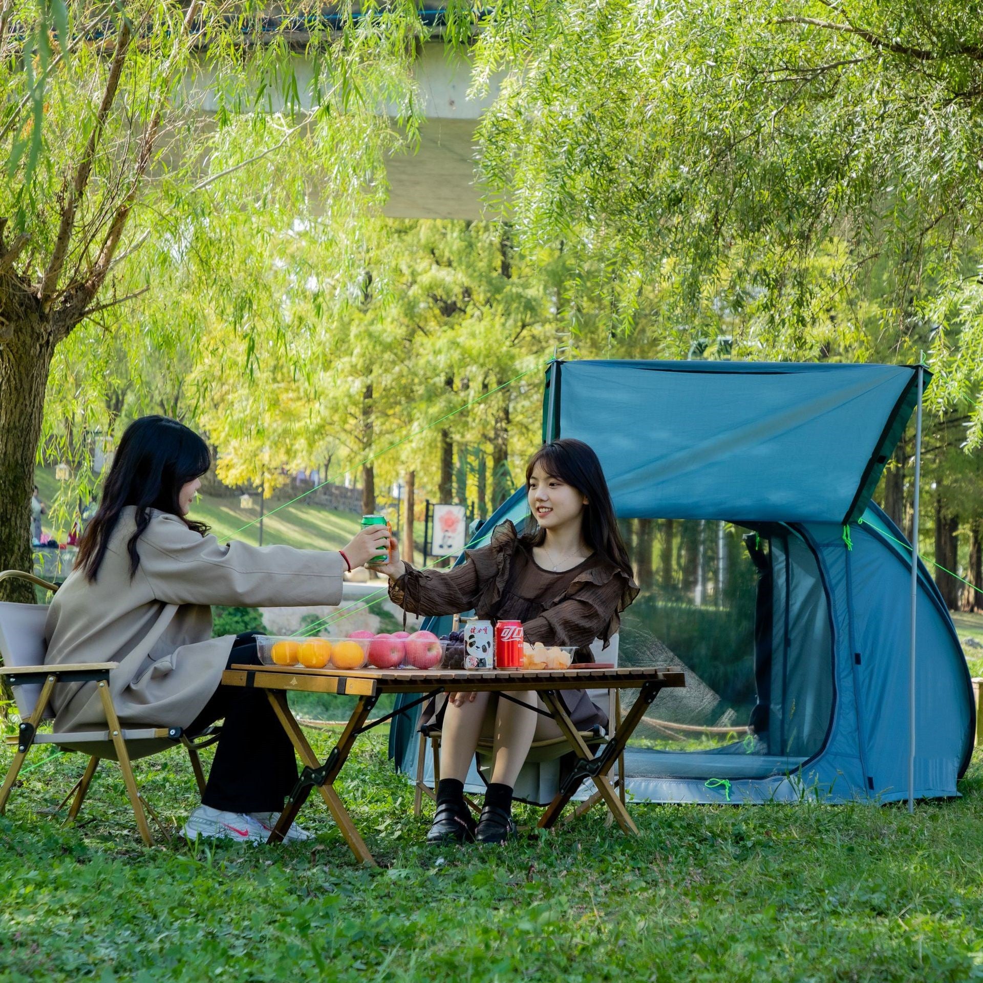 Automatic Quick-Open Single-Layer Outdoor Camping Tent