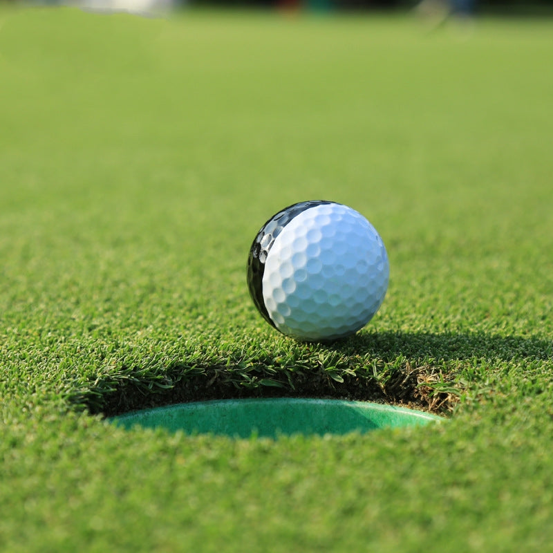 Two-Tone Two-Layer Golf Putting Practice Ball