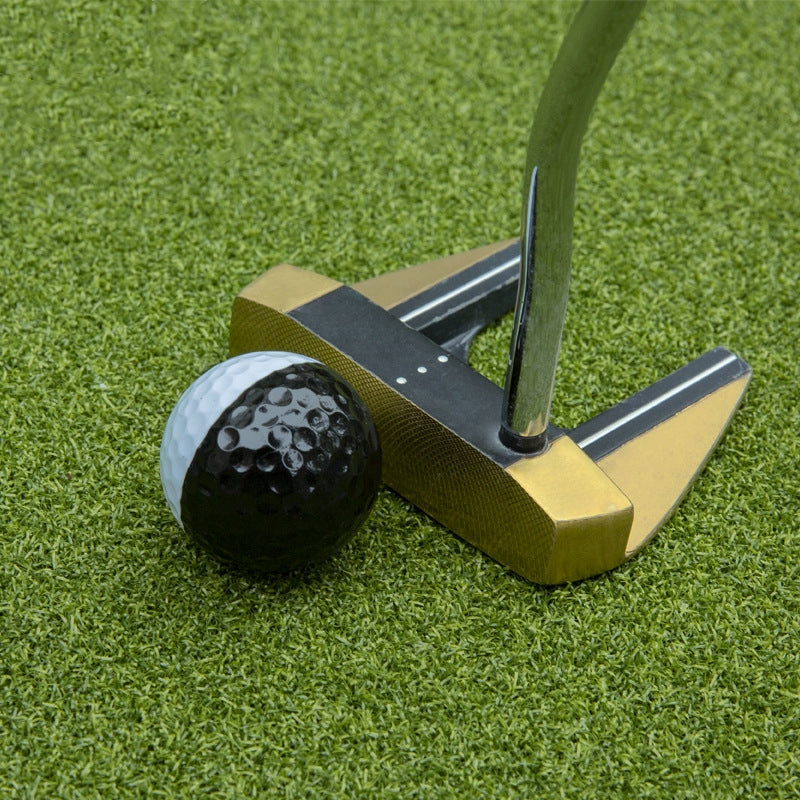 Two-Tone Two-Layer Golf Putting Practice Ball